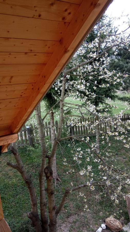 Pokoje U Adama Grajoka Szczawnica Luaran gambar