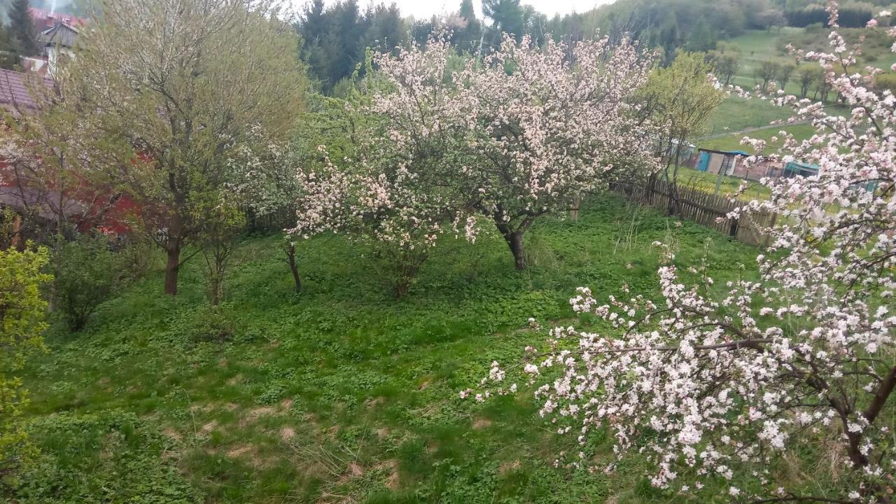 Pokoje U Adama Grajoka Szczawnica Luaran gambar