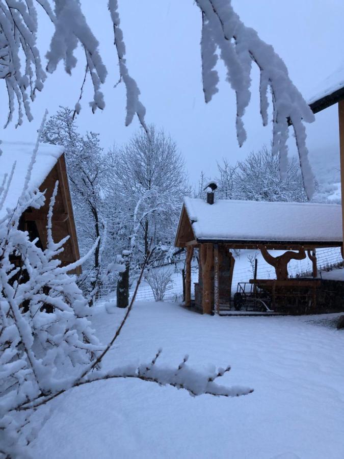 Pokoje U Adama Grajoka Szczawnica Luaran gambar