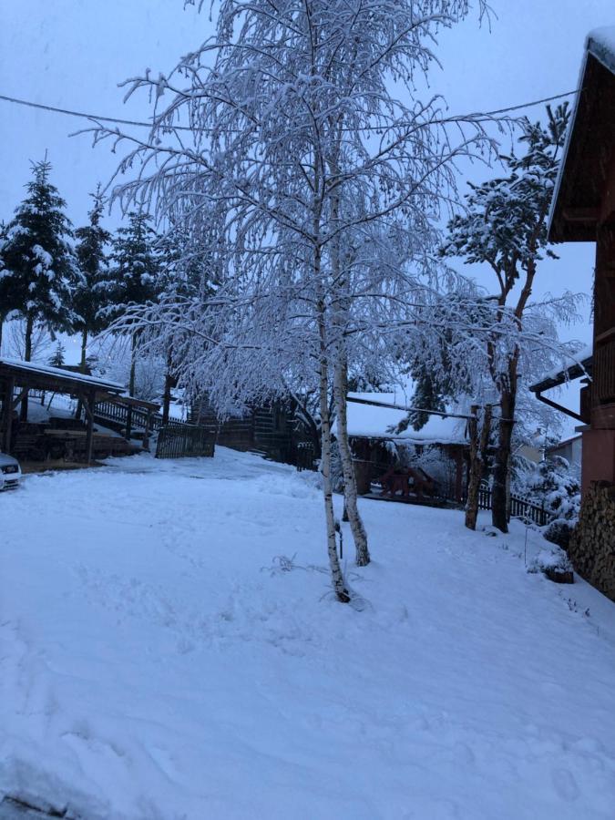 Pokoje U Adama Grajoka Szczawnica Luaran gambar