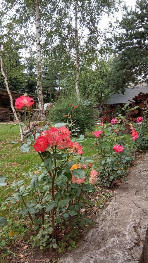 Pokoje U Adama Grajoka Szczawnica Luaran gambar