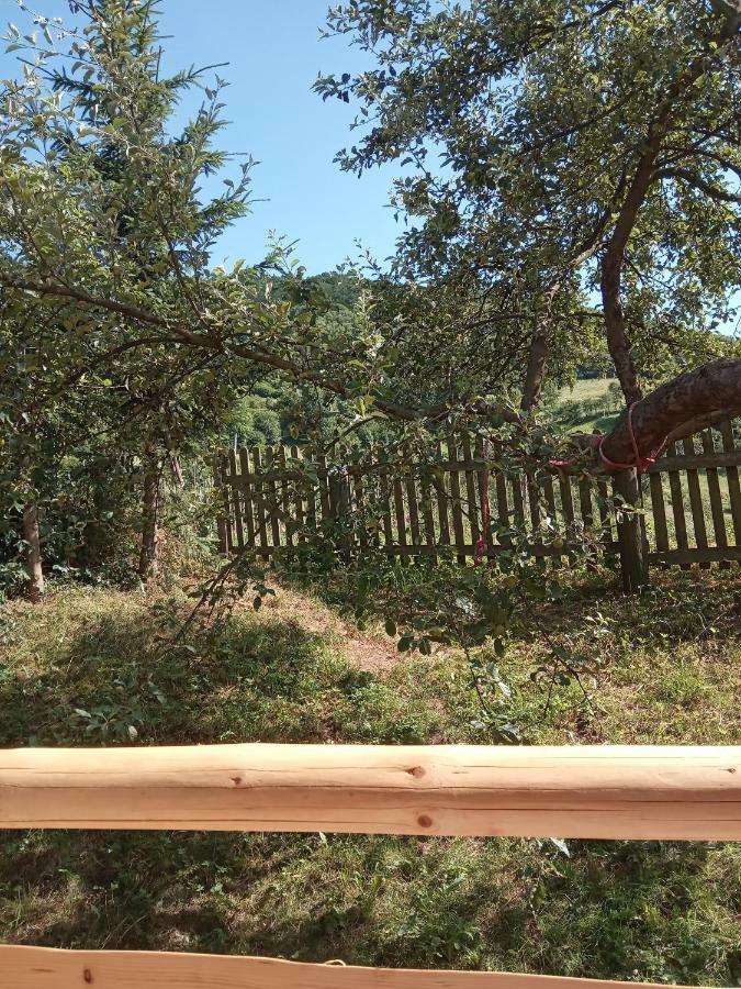 Pokoje U Adama Grajoka Szczawnica Luaran gambar
